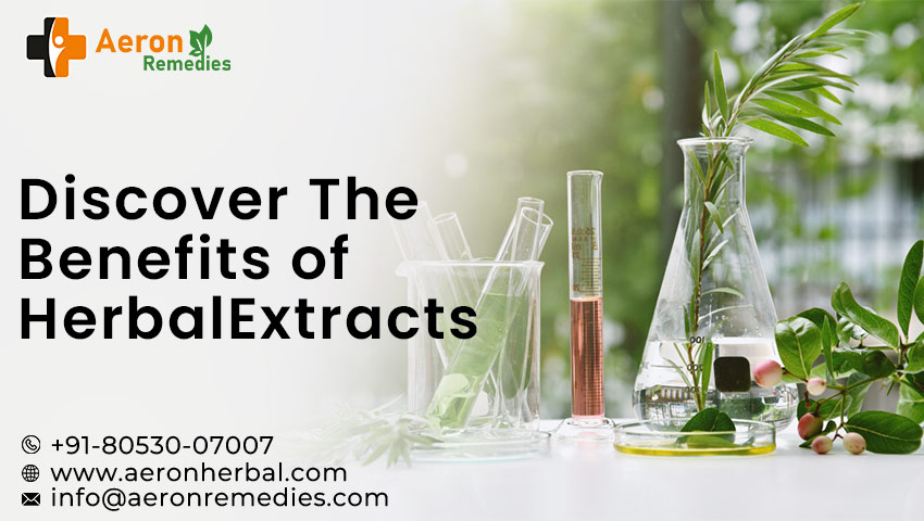Herbal Extract Manufacturer in India